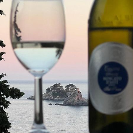 Apartmán Seahaven Petrovac Exteriér fotografie